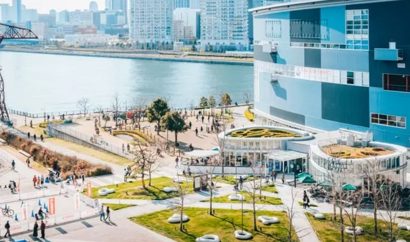 豐洲市場一日遊攻略：交通、必吃、必買、行程規劃全解析