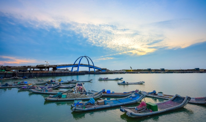 王功漁港深度遊：潮間帶尋寶、必吃美食與一日遊行程全攻略