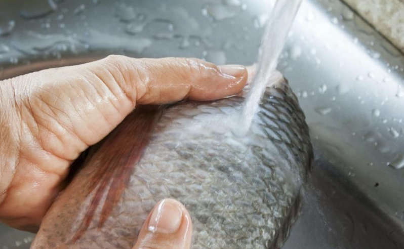 魚怎麼去腥 魚怎麼去腥