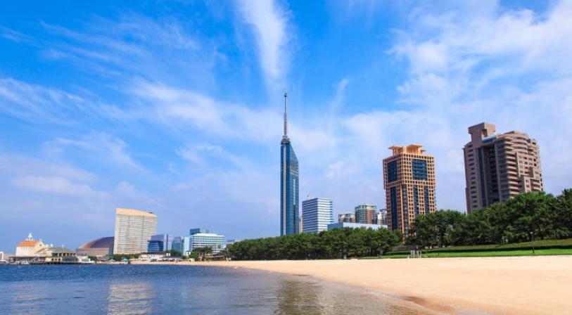 福岡塔海濱公園全攻略：交通、門票、夜景拍攝與周邊玩法一次看