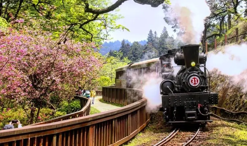 阿里山小火車時刻表 阿里山小火車時刻表