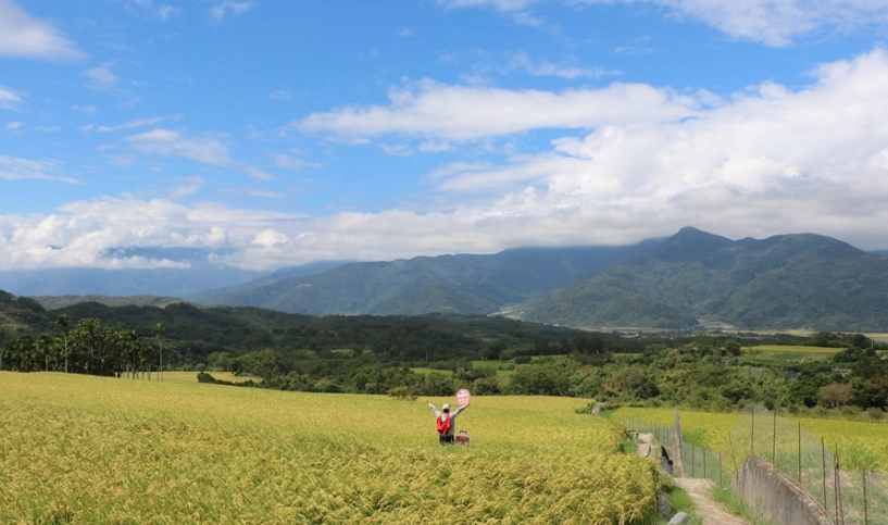 自然景觀 自然景觀