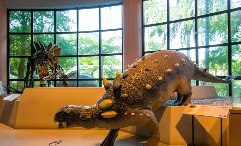 台中雨天備案 台中雨天備案