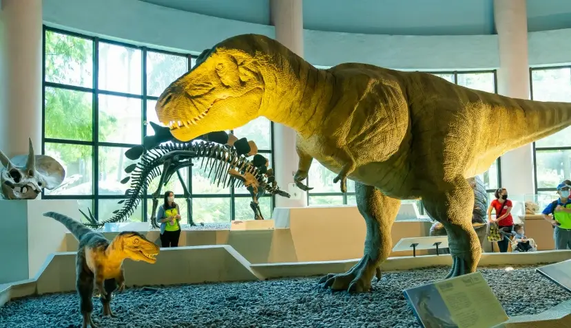 台中雨天備案 台中雨天備案