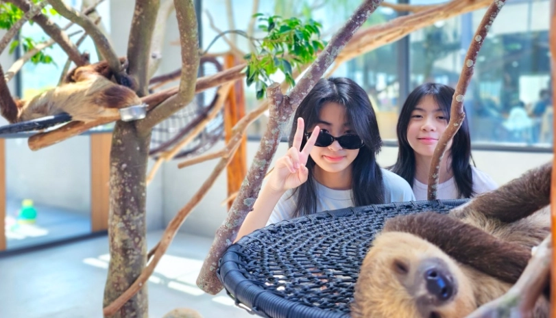 新竹室內景點全攻略：雨天豔陽天都能玩得盡興