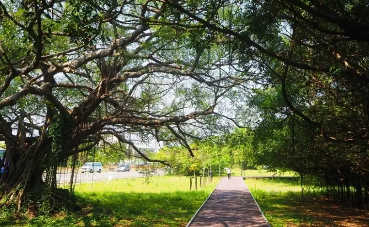 台南森林景點