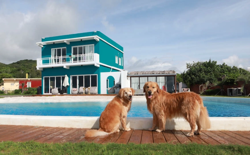 墾丁寵物住宿 墾丁寵物住宿