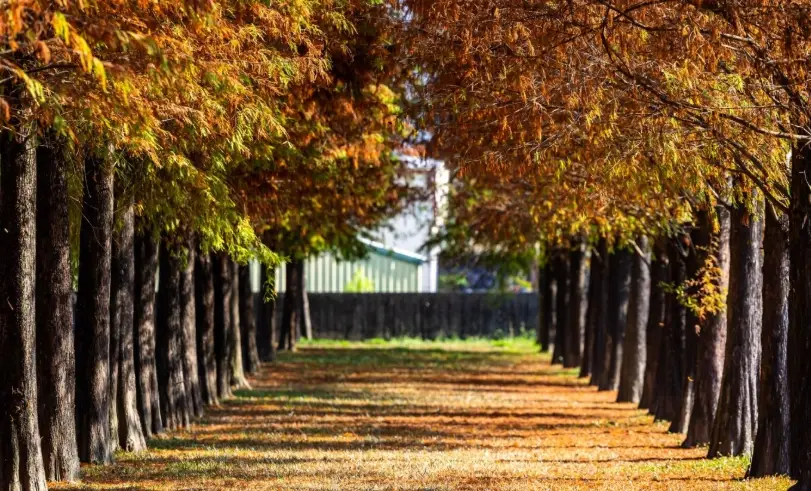 蘭城晶英附近景點全攻略：門票、交通、行程一次掌握