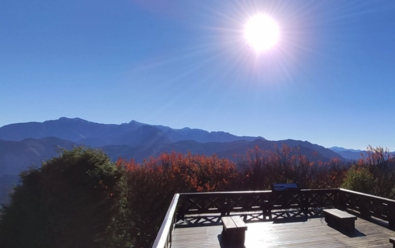 阿里山旅遊攻略 阿里山旅遊攻略