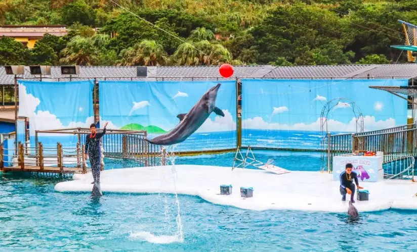 龜吼漁港交通 龜吼漁港交通