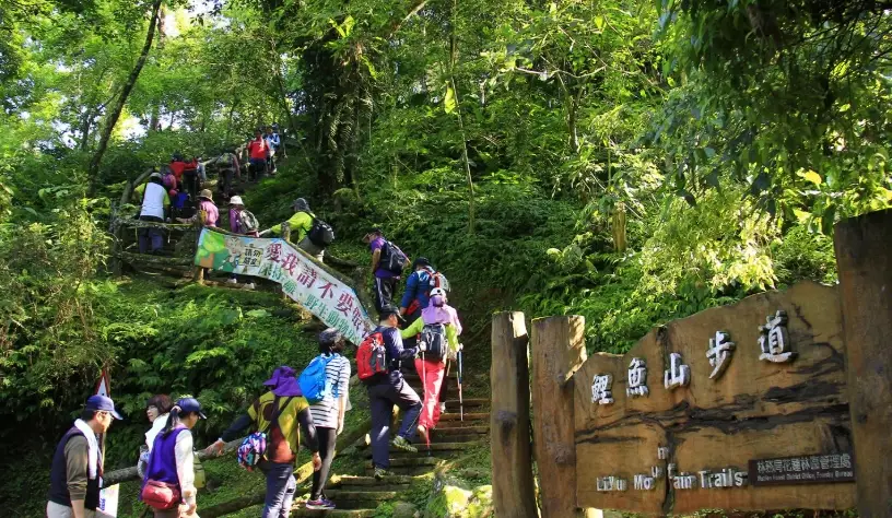鯉魚山步道攻略