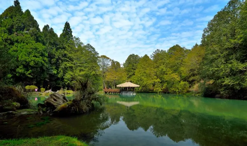 阿里山旅遊攻略 阿里山旅遊攻略