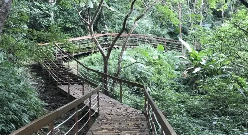 鯉魚山健行時間