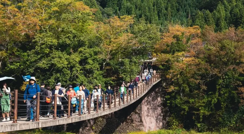 名古屋到白川鄉交通