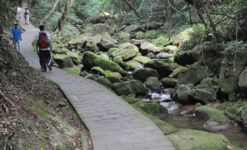 帶狗爬山注意事項