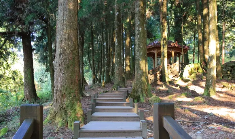 阿里山景點推薦 阿里山景點推薦