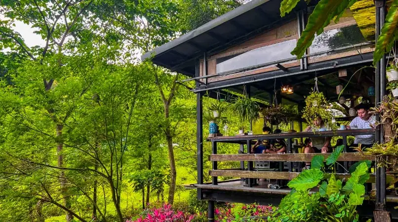 桃園咖啡廳打卡 桃園咖啡廳打卡