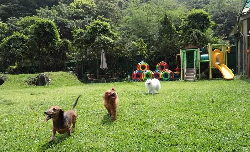 狗狗友善步道台北 狗狗友善步道台北