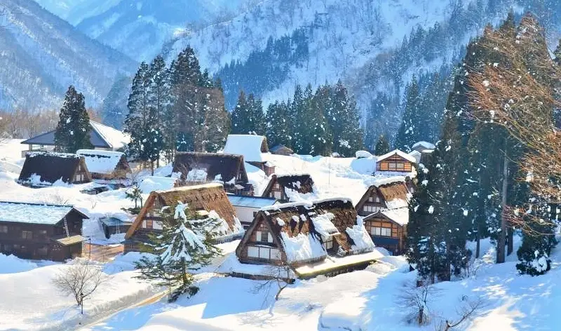 名古屋 到 白川鄉 名古屋 到 白川鄉