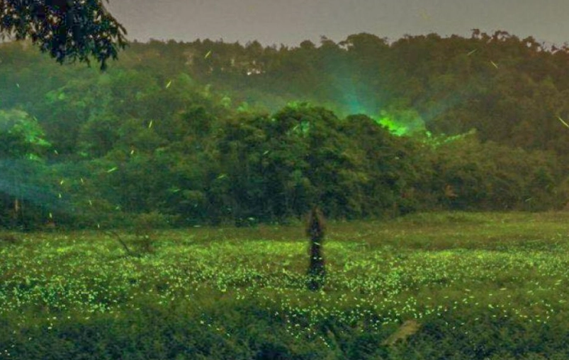 露營區推薦 露營區推薦
