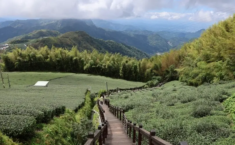 阿里山兩天一夜行程規劃