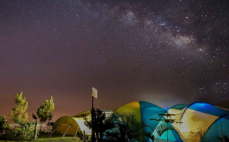 中部賞螢 中部賞螢