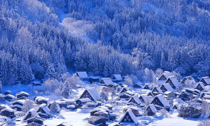 東京冬季自由行攻略：從行程規劃到保暖秘訣一次搞懂