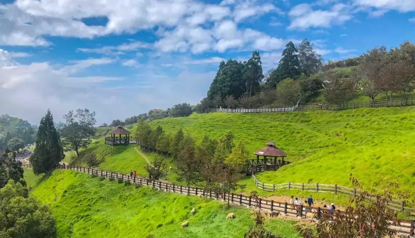 清境農場行程