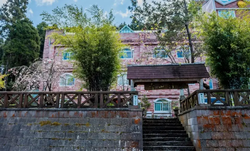 阿里山兩天一夜