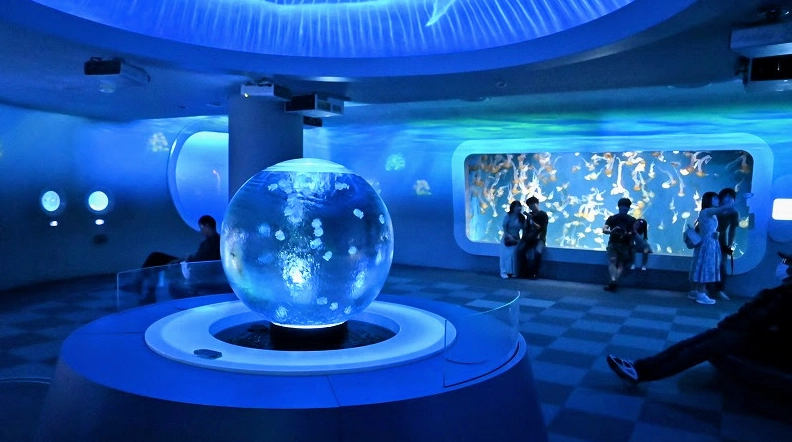 灌籃高手景點 灌籃高手景點