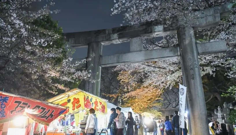 上野恩賜公園 夜景 上野恩賜公園 夜景