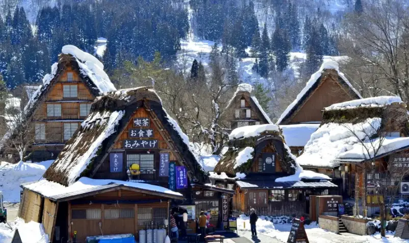 白川鄉 交通 攻略 白川鄉 交通 攻略