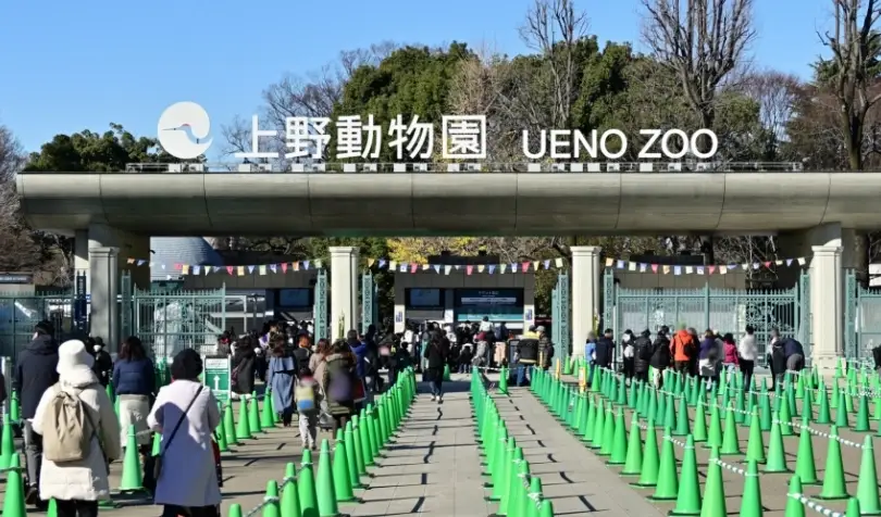 東京行程規劃 東京行程規劃