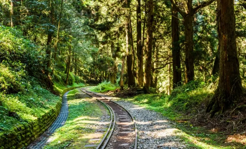 阿里山兩天一夜