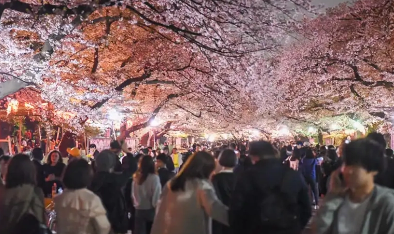 上野 夜間 散步 上野 夜間 散步