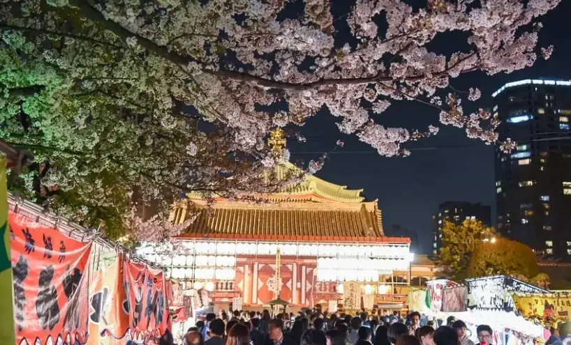 上野恩賜公園 夜景 上野恩賜公園 夜景