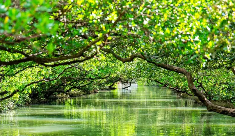 台南自然景點