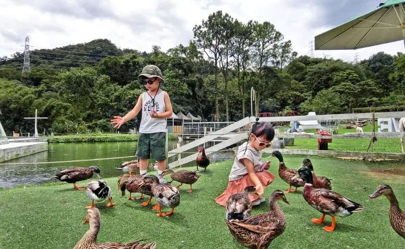 桃園親子農場推薦