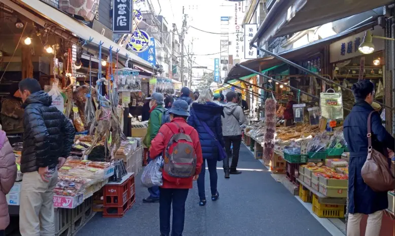 東京冬季景點 東京冬季景點