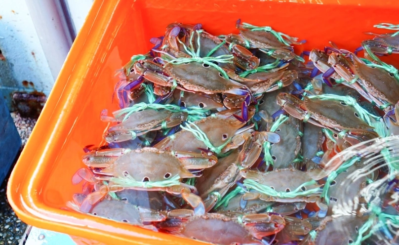 萬里蟹餐廳 萬里蟹餐廳