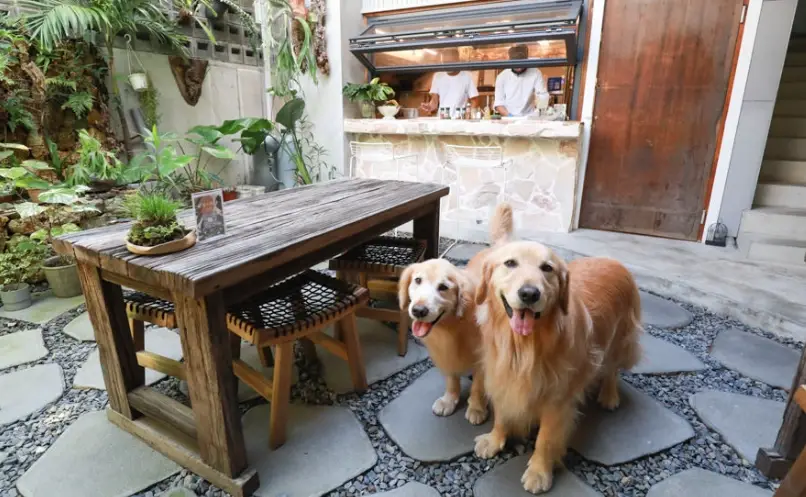 恆春帶狗吃飯 恆春帶狗吃飯