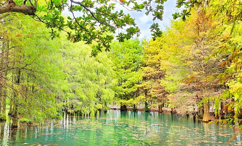 花蓮壽豐必去景點全攻略：私房秘境、交通路線與美食地圖一次收藏