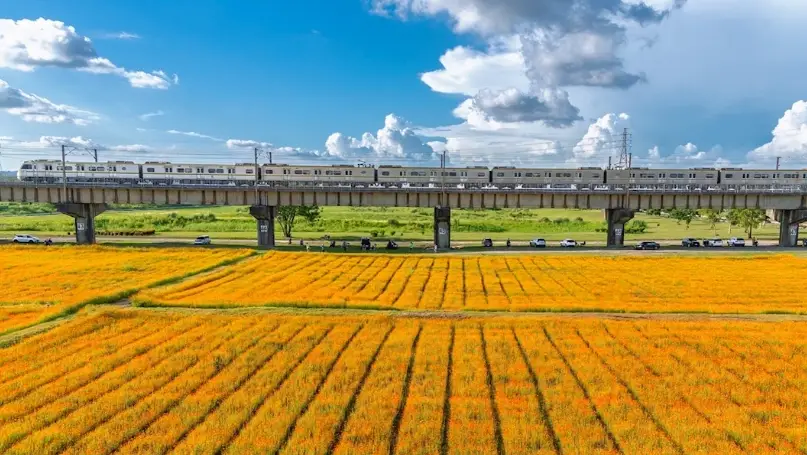 高屏溪河濱公園