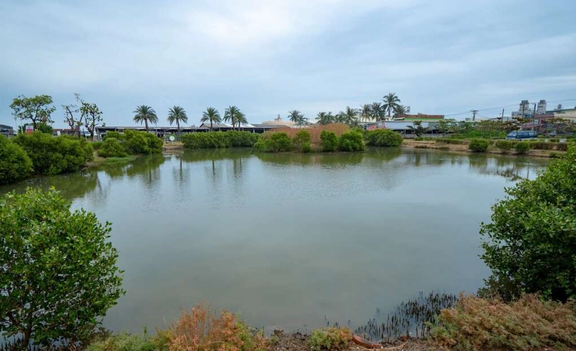 高雄郊區景點 高雄郊區景點