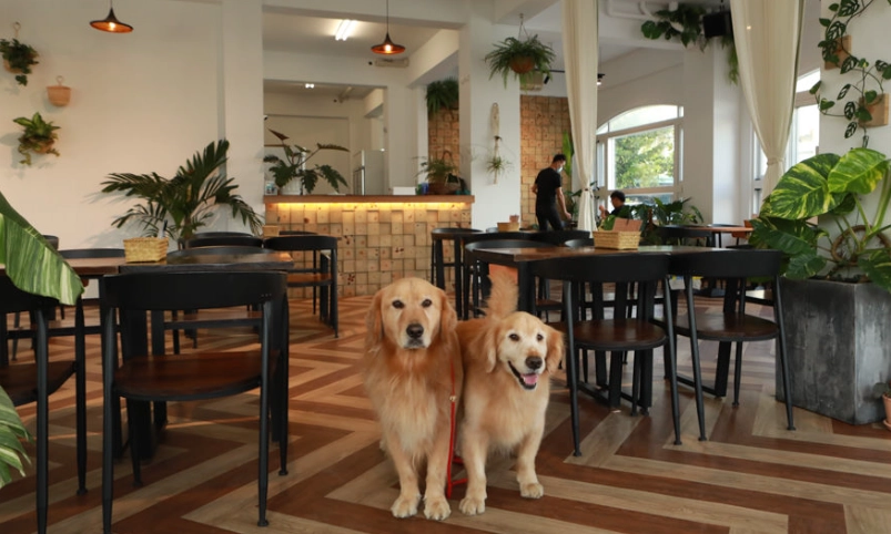 恆春帶狗吃飯 恆春帶狗吃飯