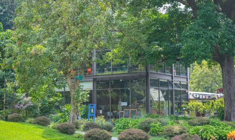 橙香森林美食推薦