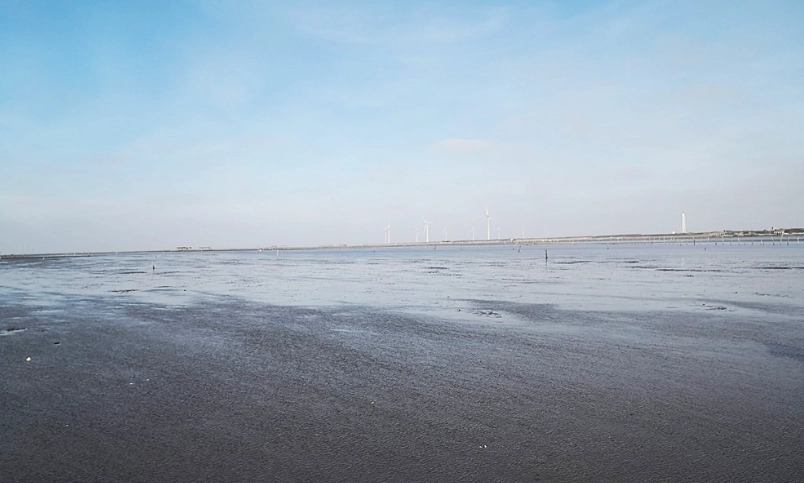 王功美食 王功美食