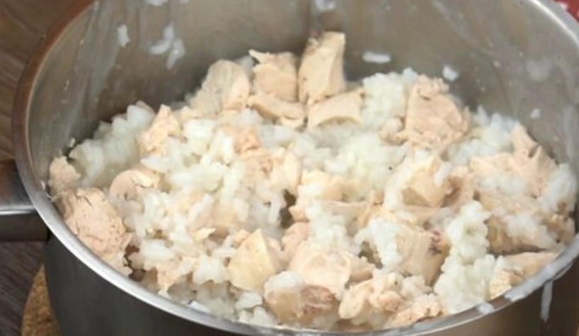 狗狗嘔吐黃水 狗狗嘔吐黃水