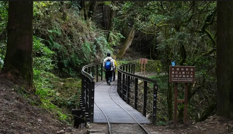 玉山主峰步道 玉山主峰步道