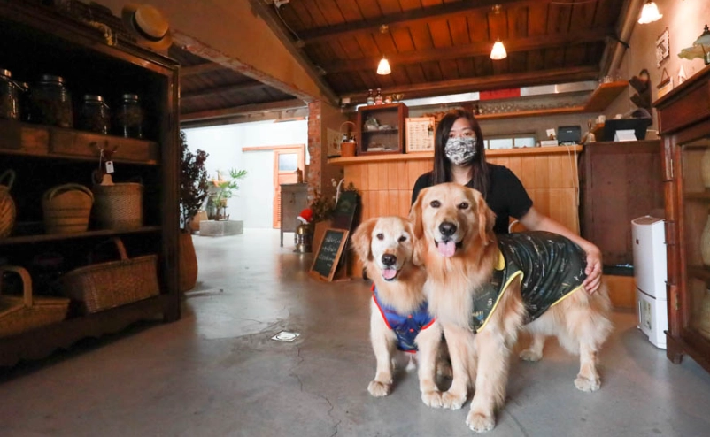 墾丁寵物餐廳 墾丁寵物餐廳